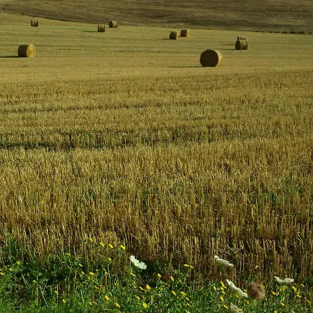 Εξοχικό σπίτι Santa Margherita Castiglione dʼOrcia