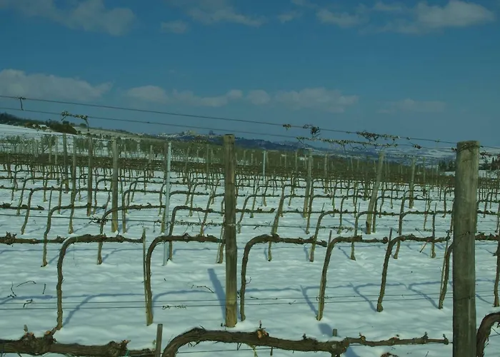 Santa Margherita * 卡斯蒂戈隆·多尔希亚